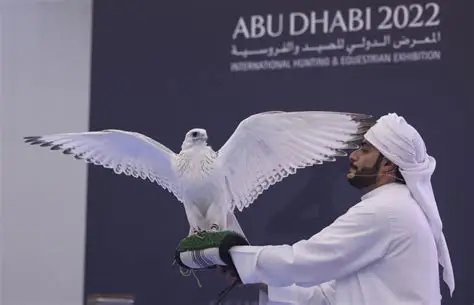 صقر
